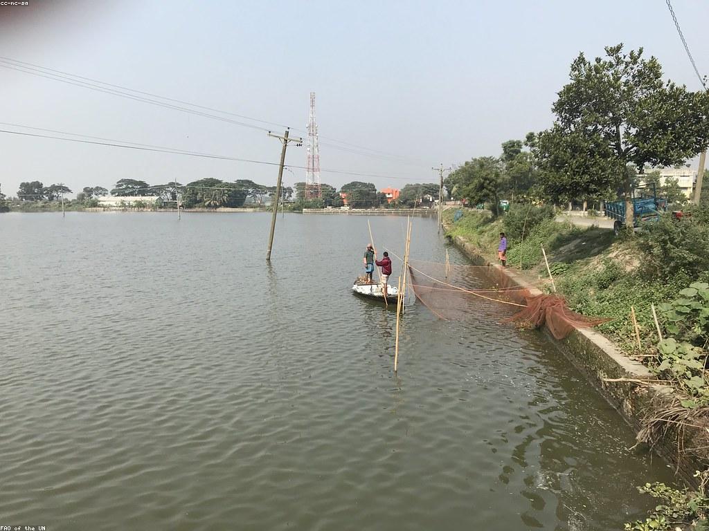 វិធីសាស្ត្រសម្រាប់ឧបករណ៍បាញ់ត្រី